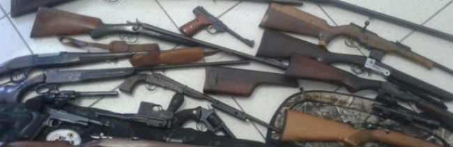 Polícia Ambiental apreende armas, munições e resgata aves silvestres em Ilhabela